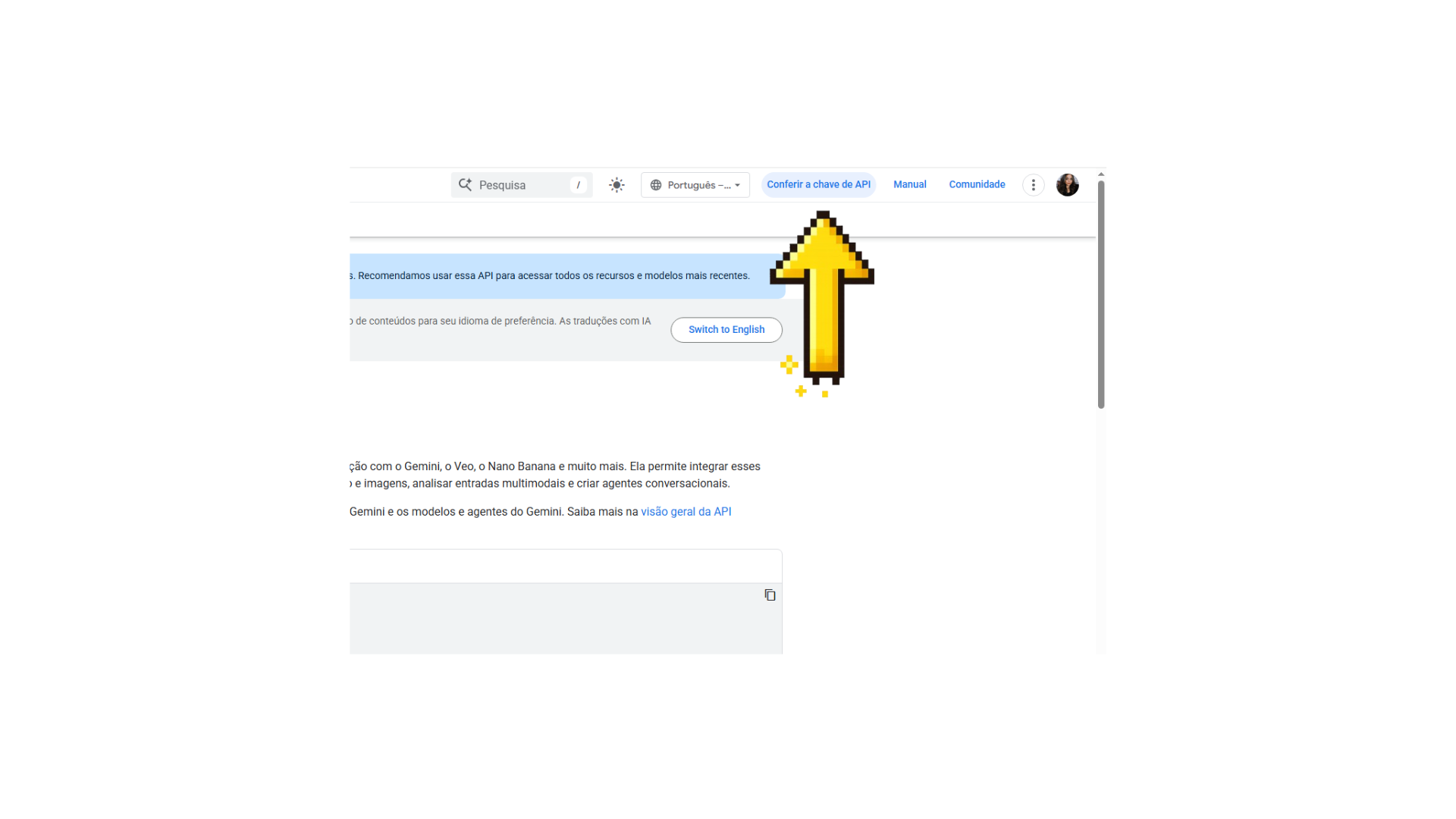 Botão "Conferir a chave de API" no menu superior direito da documentação