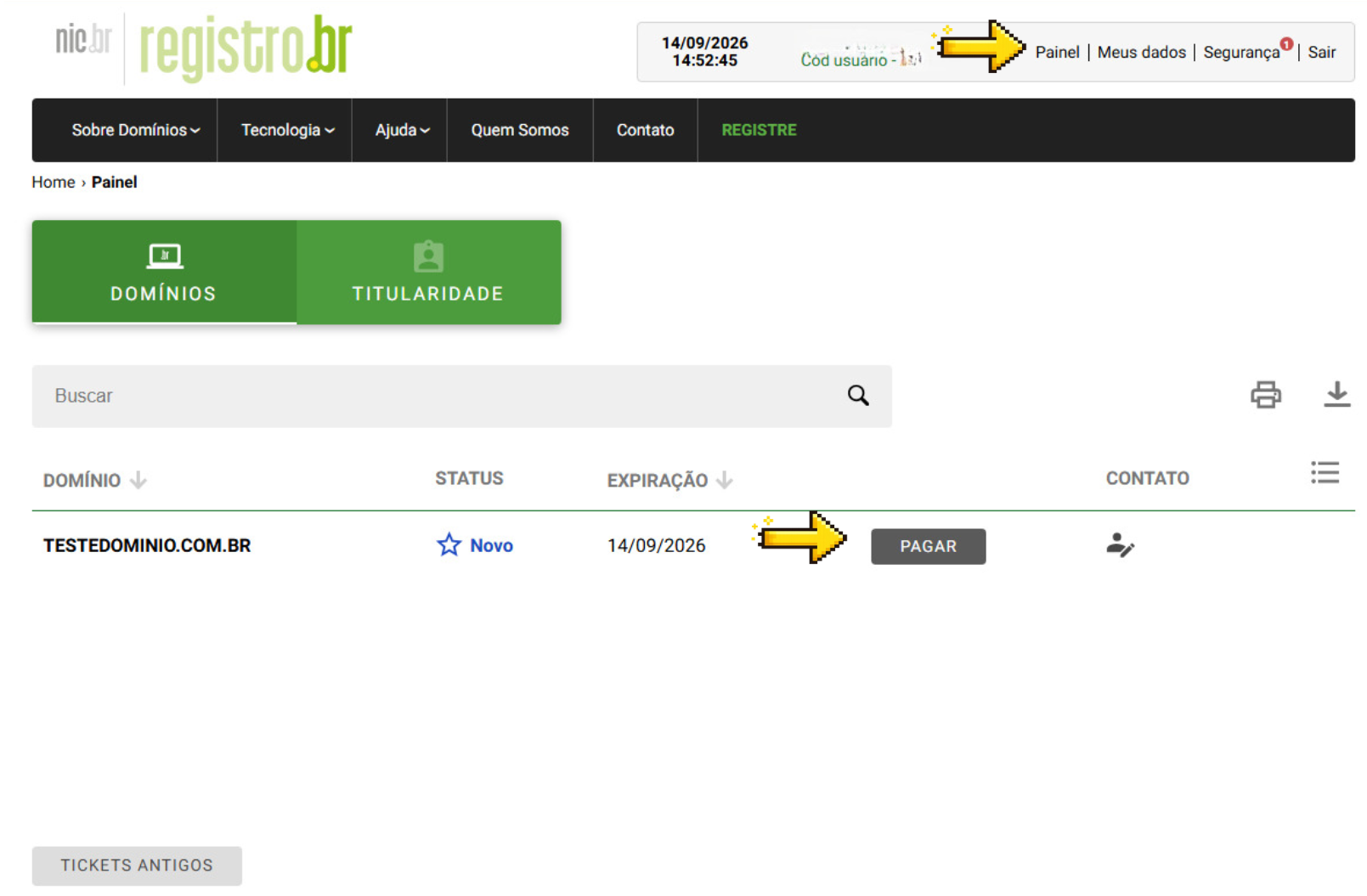 Painel de domínios com status Novo e botão Pagar